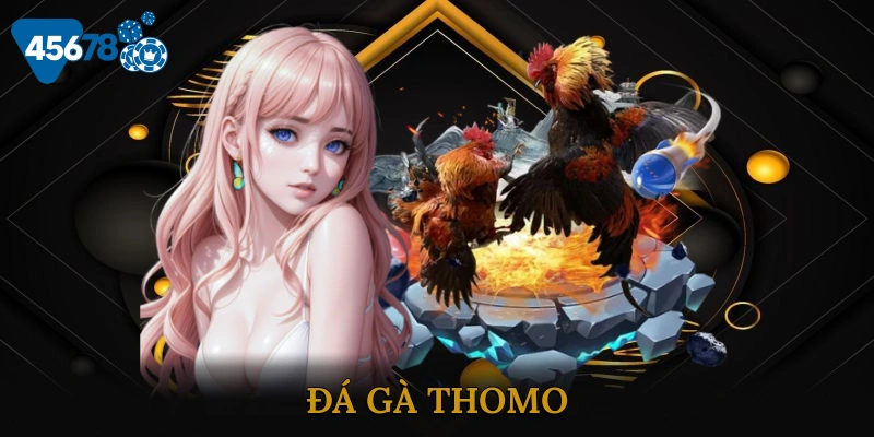 Đá gà Thomo